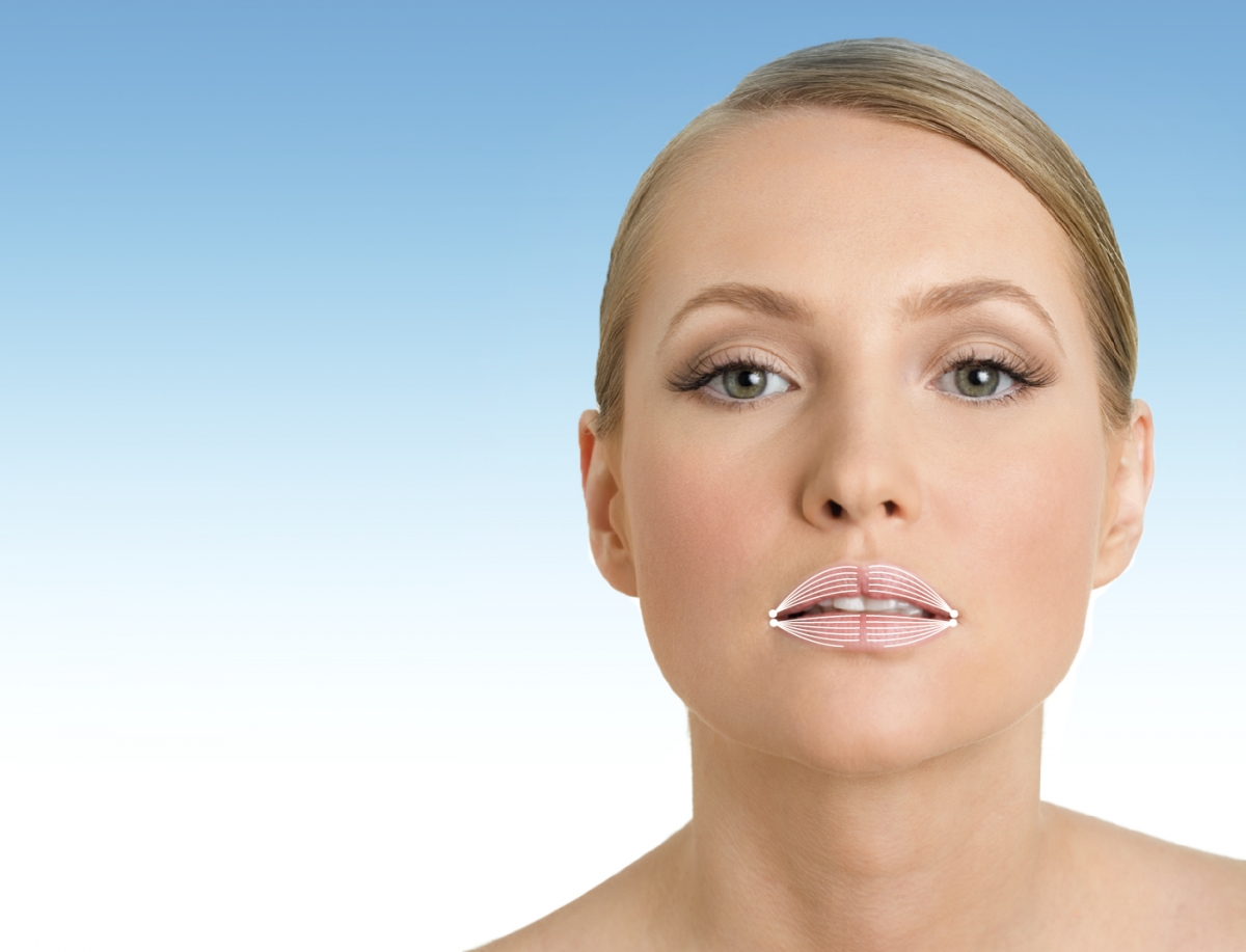 Область рта (контур губ)