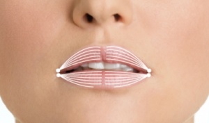 Mouth area (lip contour)
