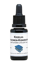 Kigelia-Liposomen-Konzentrat